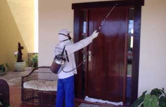 Centaurus Dedetização - Foto 1