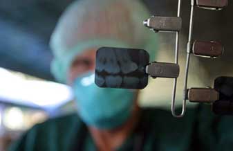 Maria Angela Ferreira de Souza - Foto 1