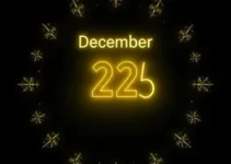 Confederação Brasileira de Voleibol