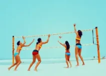 Confederação Brasileira de Voleibol