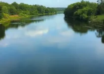 Seleção Paulista Vôlei Sub-16