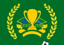 Copa Sul-Sudeste