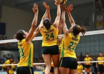 voleibol