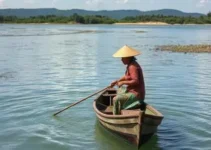 FIPERJ pesca artesanal Pronaf