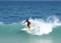 WSL