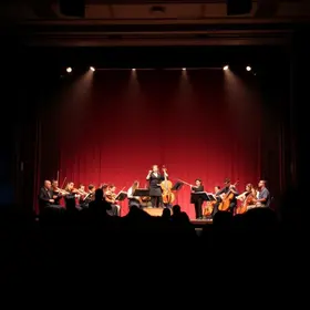 concerto de violinos