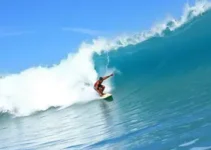 Campeonato Mundial de Surfe de Joelho