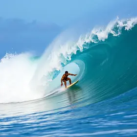 Mundial de surfe de joelho
