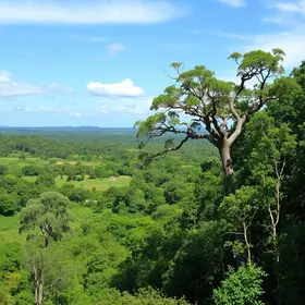 sítio que Ney Matogrosso transformou em reserva ambiental
