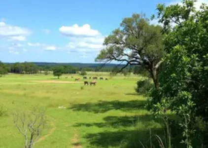 Últimas Notícias de Saquarema