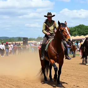 exposição Mangalarga Marchador Saquarema