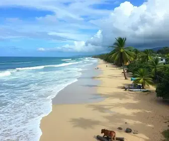 função y = x²
